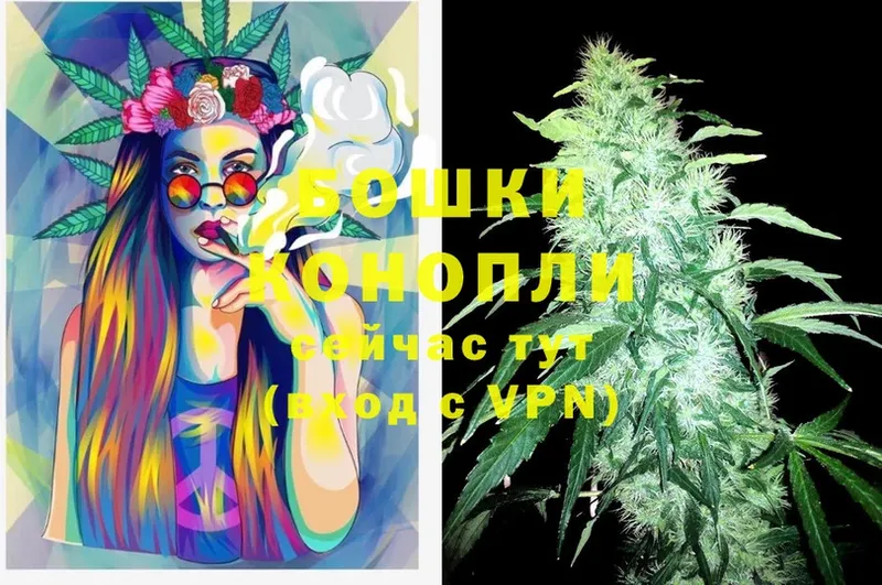 Каннабис SATIVA & INDICA  магазин продажи   Белая Холуница 